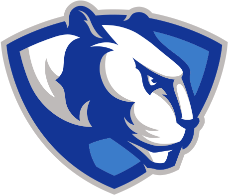 Eastern Illinois Womens Volleyball Data - Eastern Illinois Panthers (457x457)