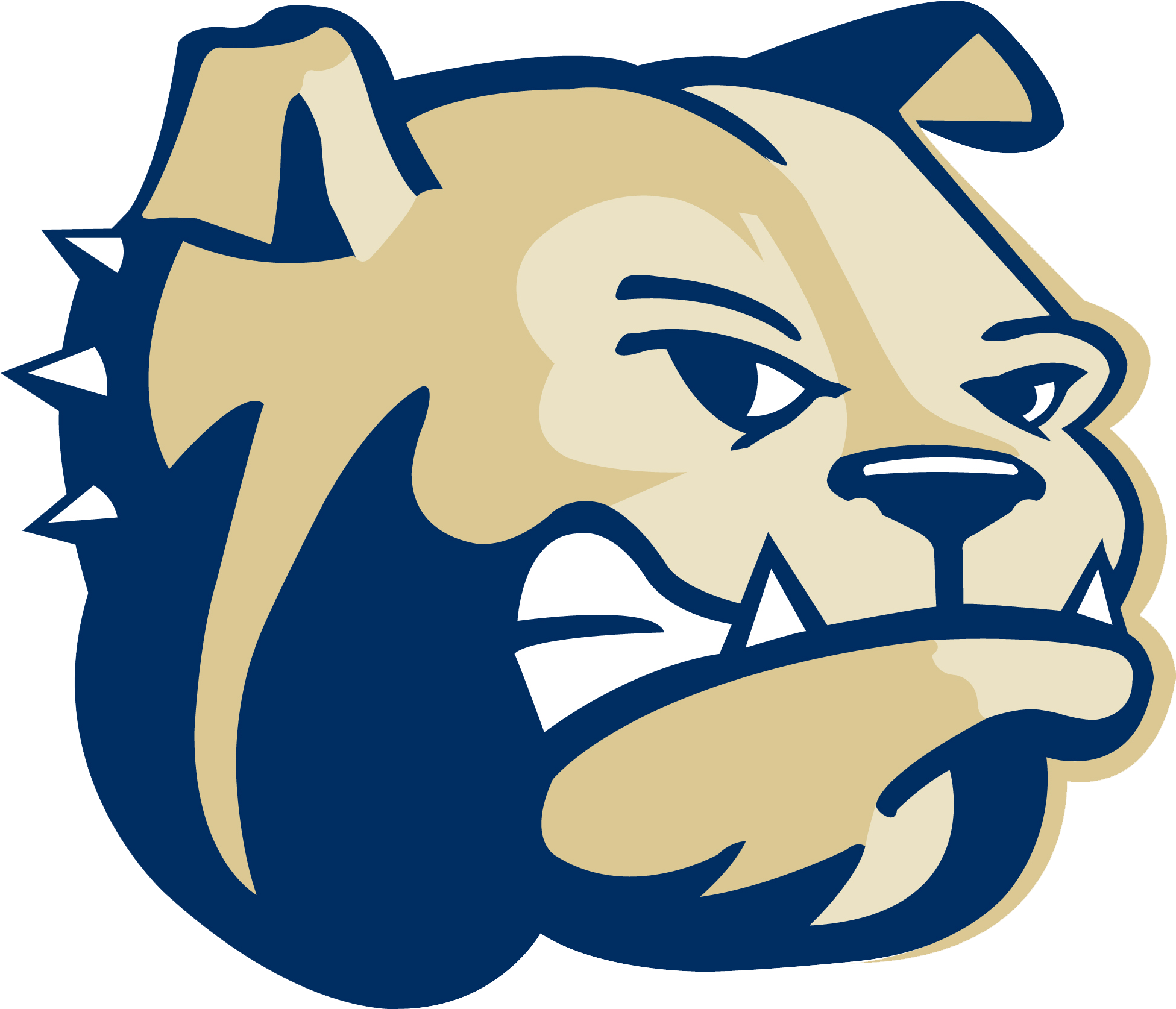 Wingate Womens Volleyball Data - Wingate Bulldogs (1950x1950)