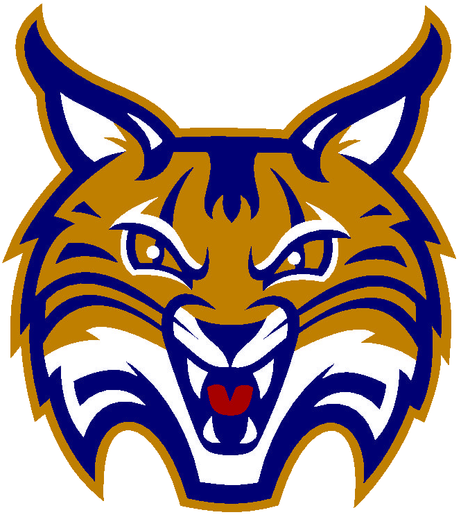 Quinnipiac Womens Volleyball Data - Quinnipiac Bobcats (744x744)