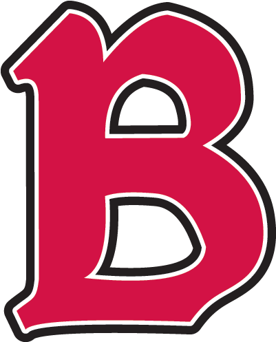 Benedictine Womens Volleyball Data - Benedictine University Eagles Logo (496x496)