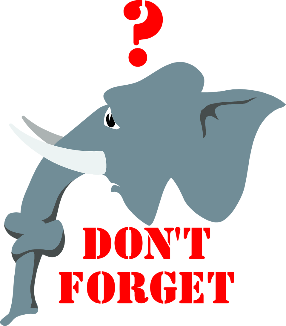 Illustration Of An Elephant With Text - Don T Forget The Elephant (958x1090)