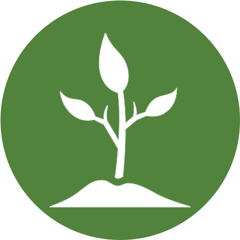 Icon1 - Slide Plant Market (480x480)