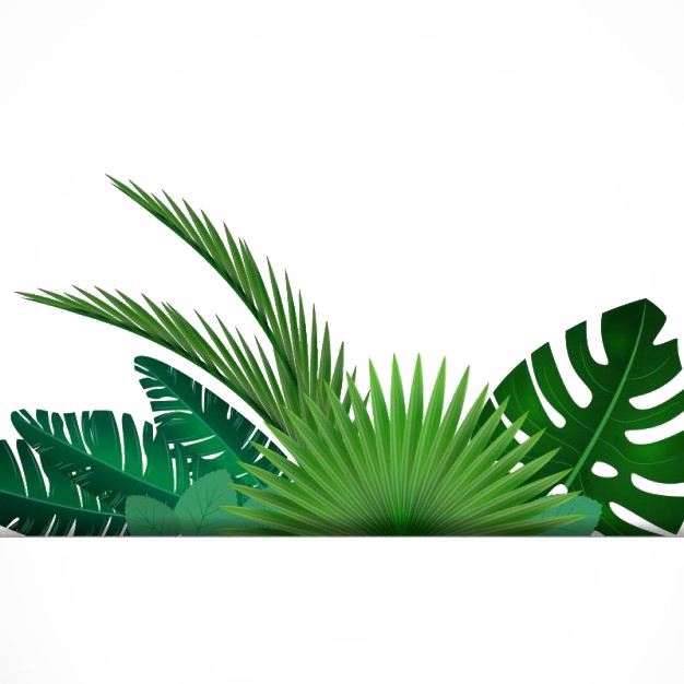 Leaf Tropics Clip Art - Blessed Are Those Who Can Laugh At Themselves For They (626x626)