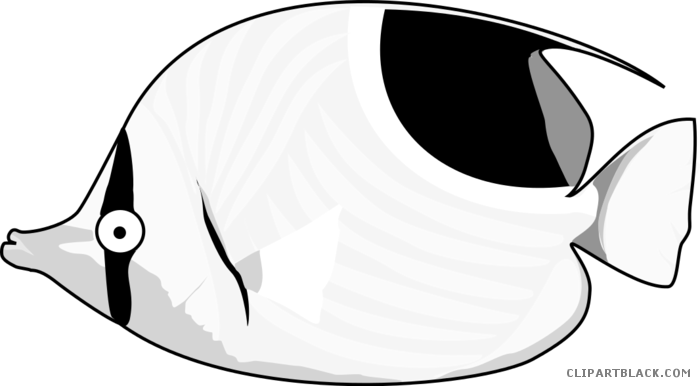 Tropical Fish Animal Free Black White Clipart Images - Fish (700x386)