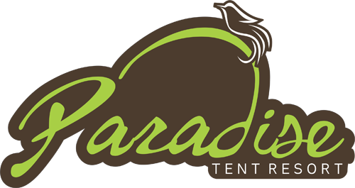 Paradise Tent Resort - Illustration (500x265)