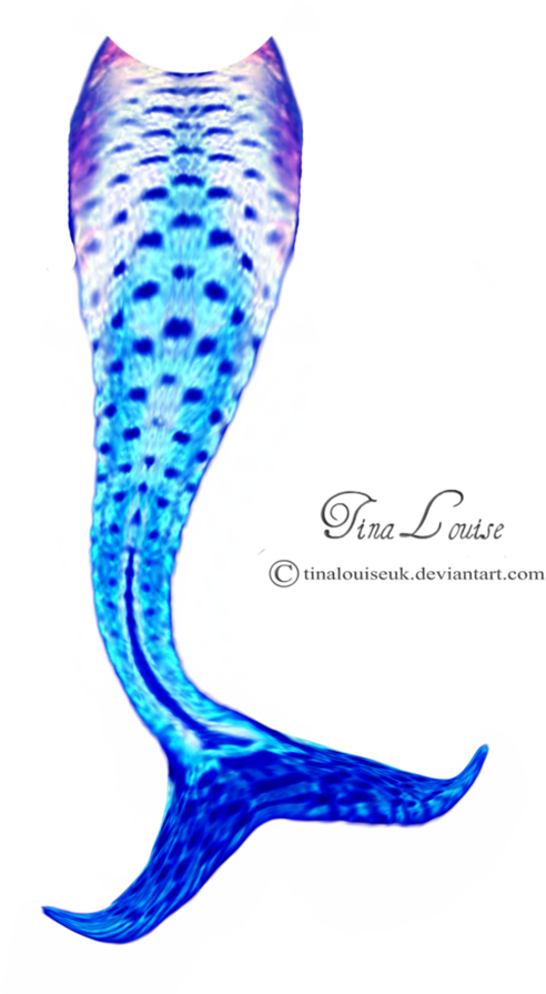 Best Mermaid Tail Fins Vector Image - Mermaid Tail Vector Free (894x894)