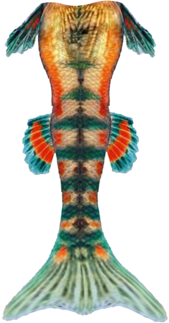 Mermaid Tail Silhouette Clipart Panda - Illustration (1000x1000)