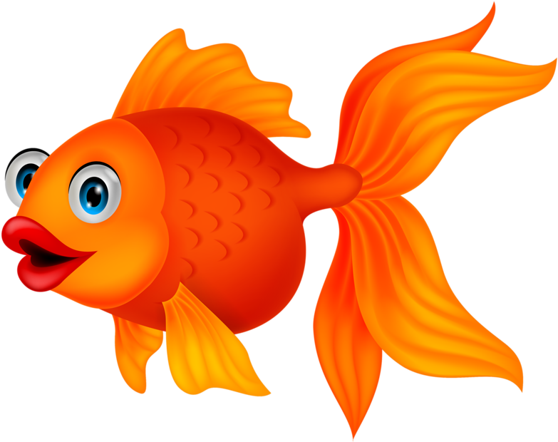 Мультяшные - Fish Clipart Png (800x633)