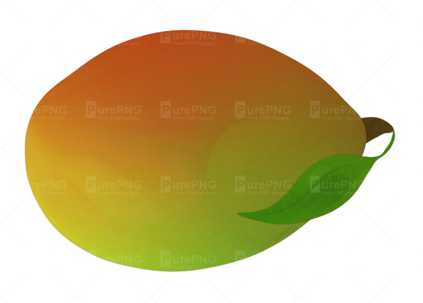 Mango Clipart Png Image - Circle (850x608)