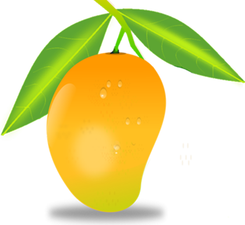 Mango Clip Art - Mango Png Vector (800x736)