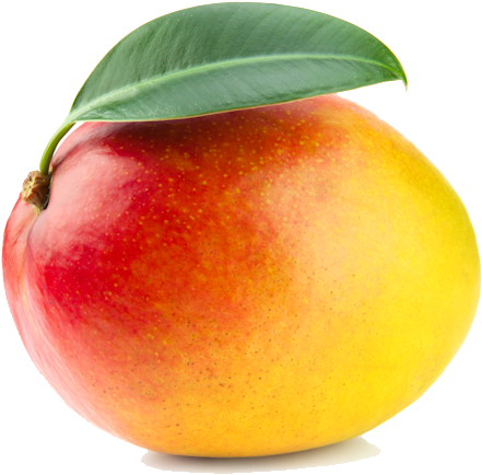 Mango Clipart Manggo - Mango Png (640x480)