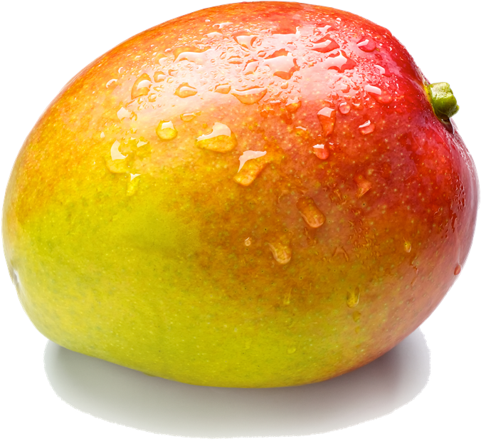 Image - Imagens De Manga Fruta (800x709)