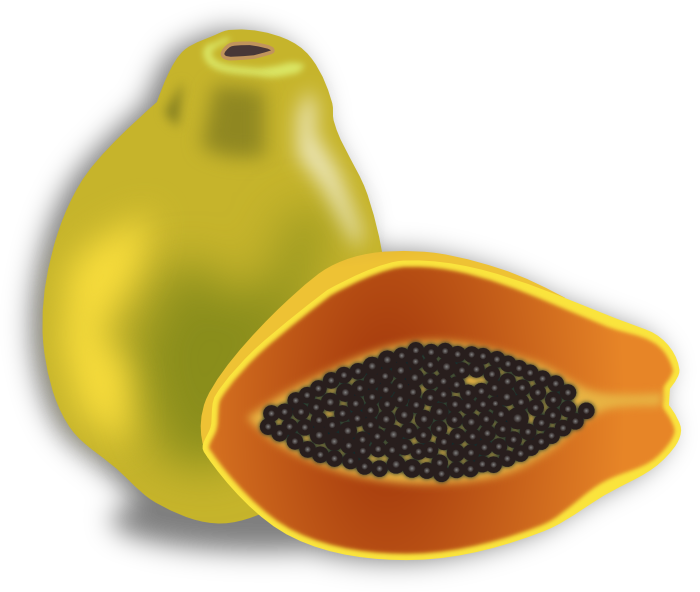 Mango Clipart Papaya Fruit - Clipart Papaya (700x592)