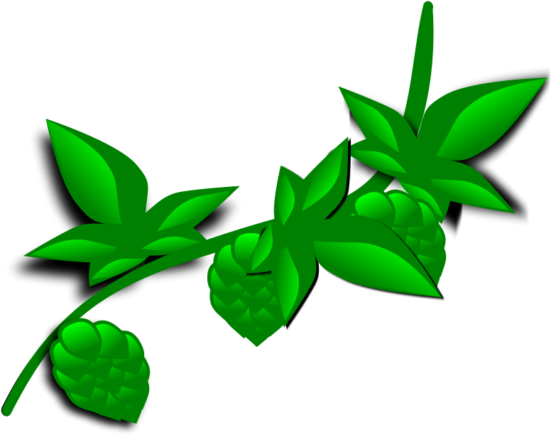 Nature Cliparts, Nature Design Svg - Plant Clip Art (900x675)
