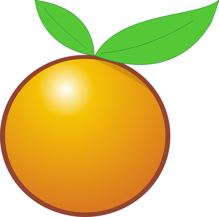Mango Cliparts 18, - Orange Clipart (726x720)