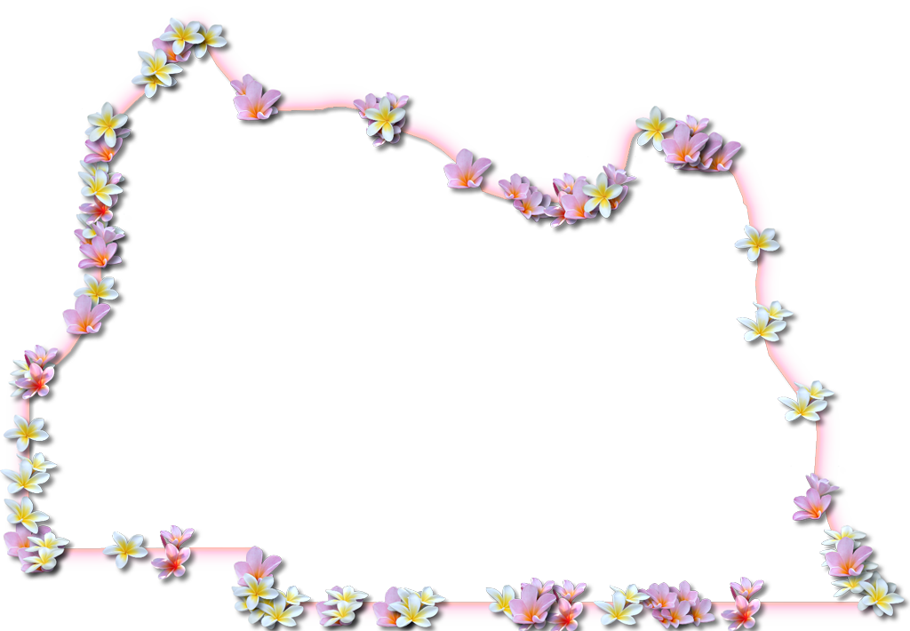 A Map Of Seminole With A Coral Color Glow Border And - Picture Frame (1024x710)