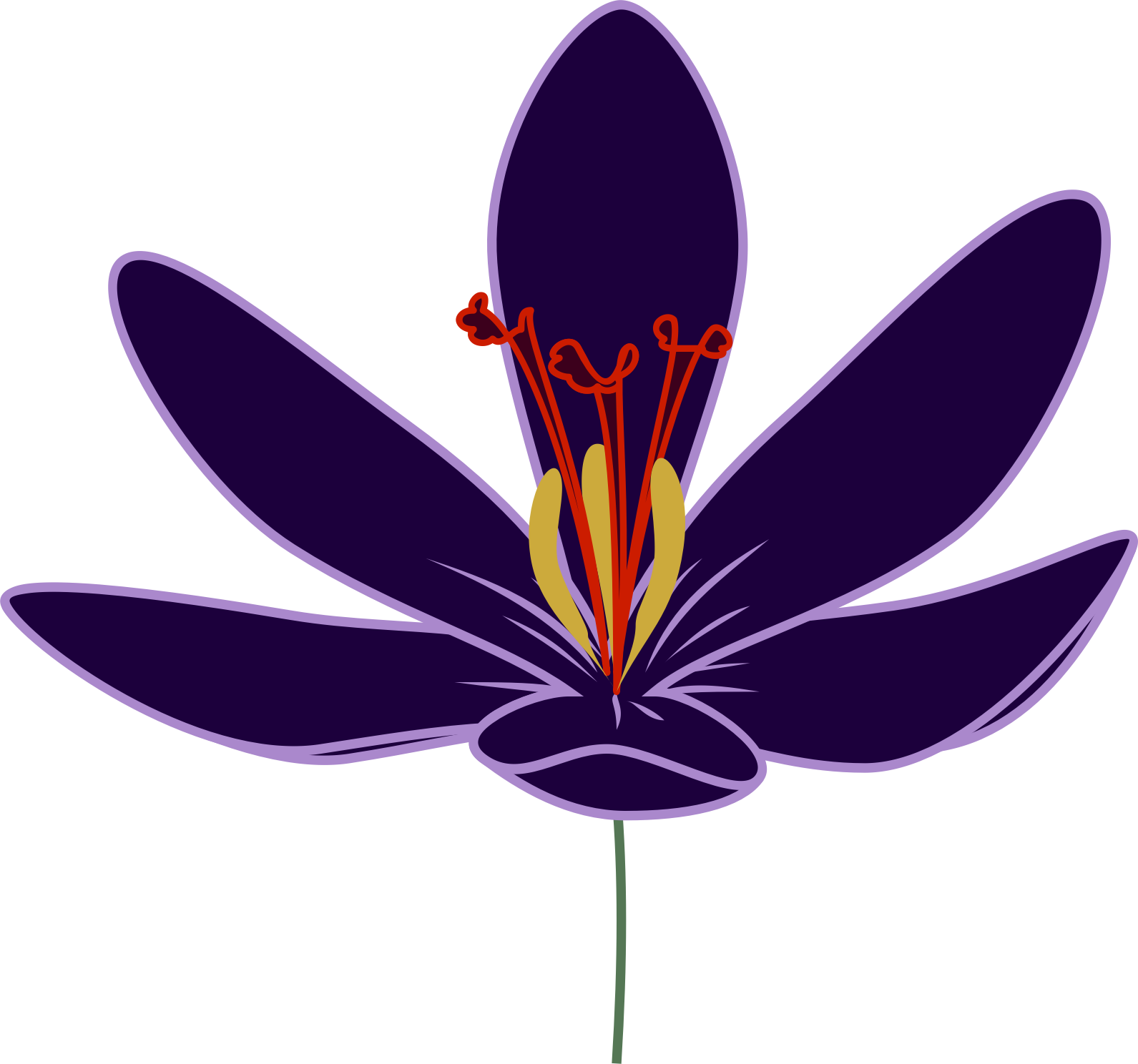 Nature Crocus - Saffron Flower Clipart (1591x1488)