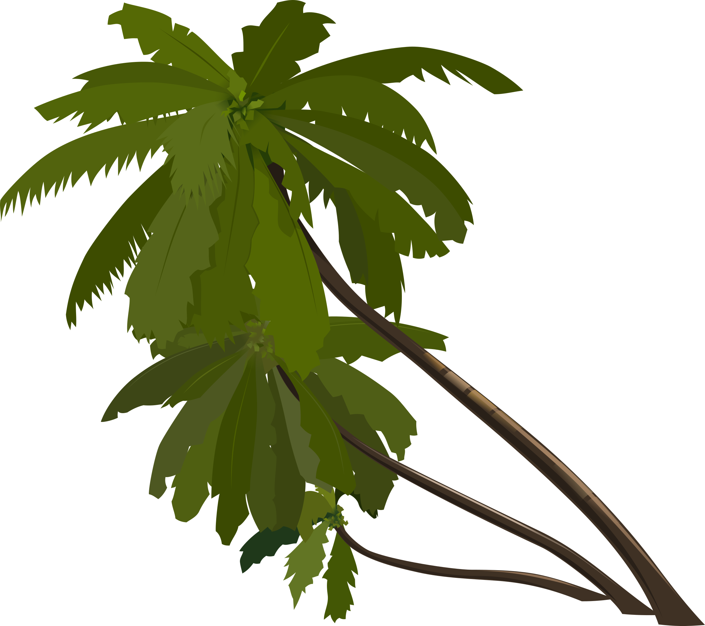 Palm - Palma Clipart (2400x2132)