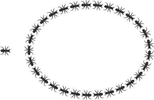 Oval Border Clipart - Circle Garland Borders Png (512x332)