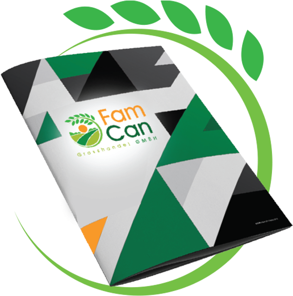 Our Monthly And Free Magazine - Graphic Design (807x608)