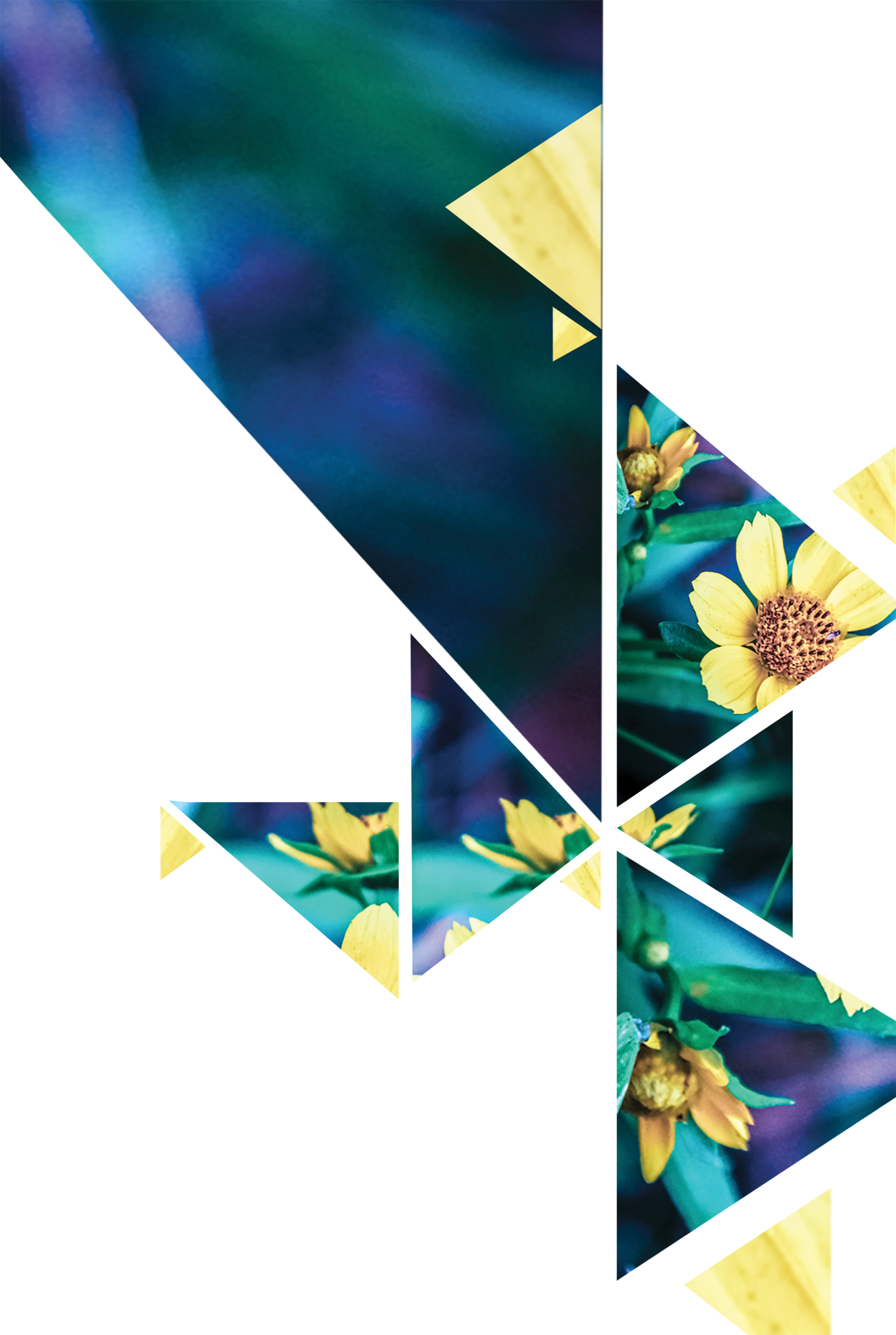 Grassroots Magazine - Little Things (1838x2738)