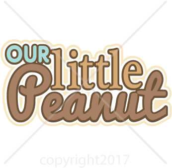 Throw Pillow (360x360)