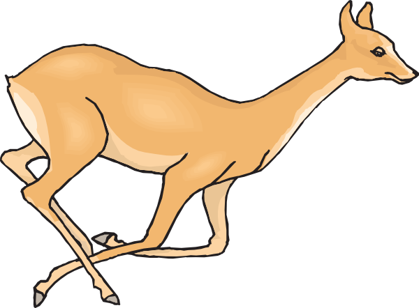 Draw A Running Deer (960x707)