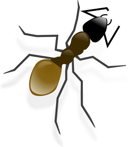 Ant Clip Art - Ant Clip Art (522x593)