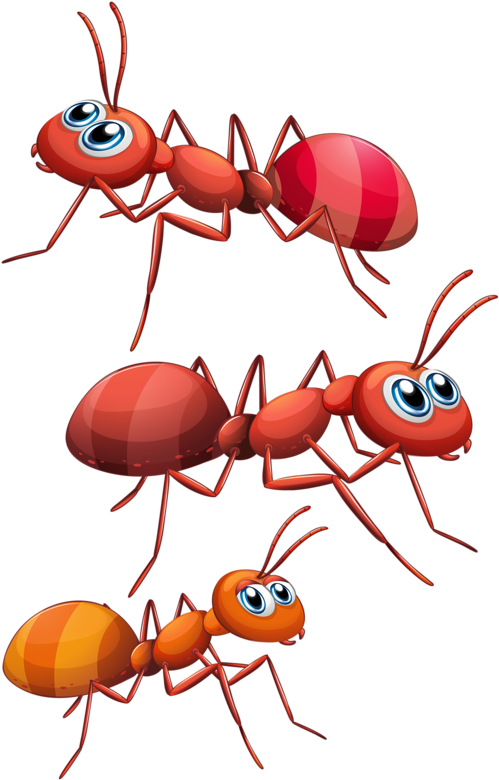 Red Ant Cartoon (519x800)