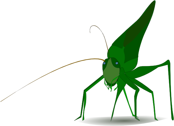 Emeza Grasshopper Clip Art - Grasshopper Clipart (1280x890)