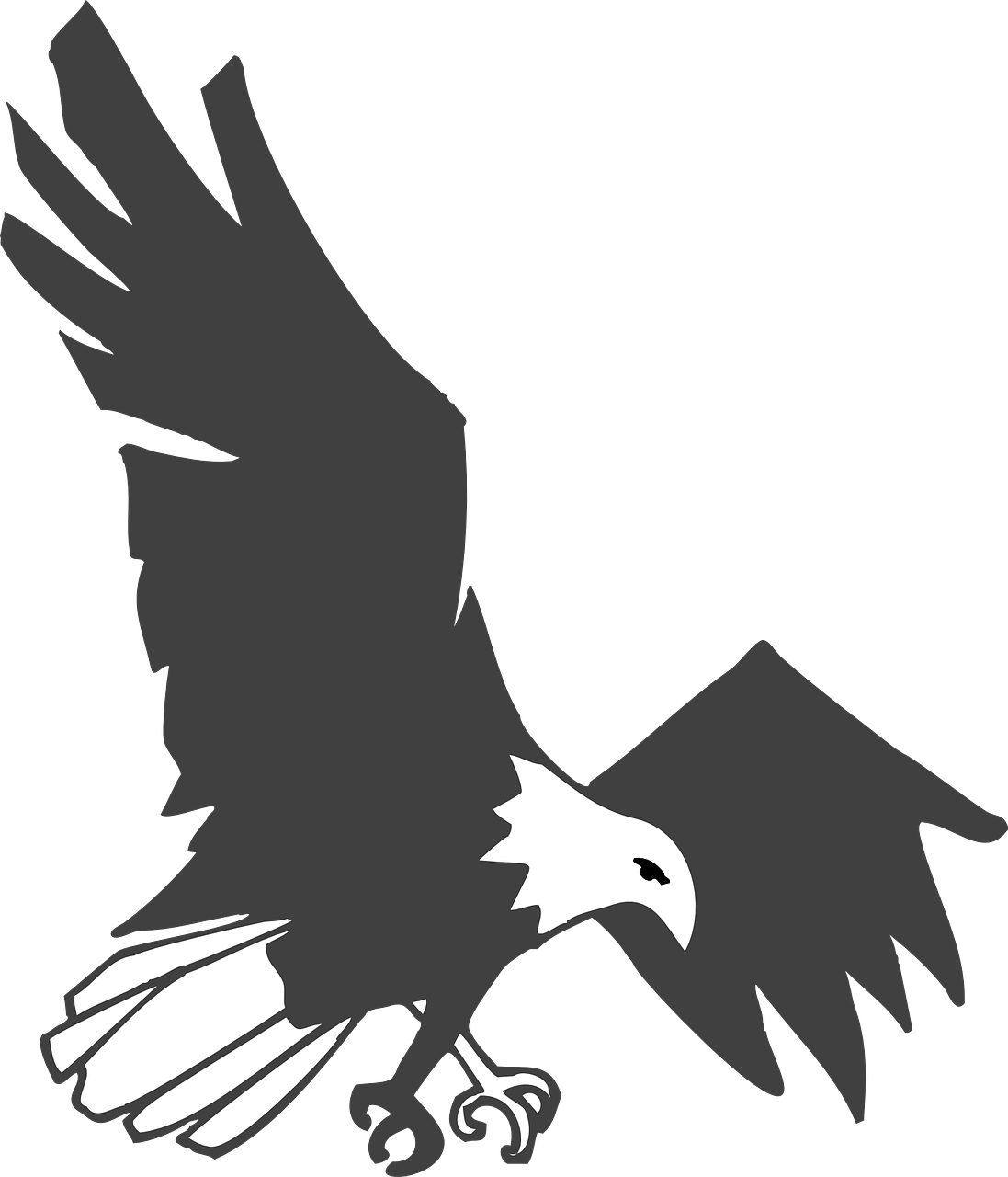 Burung Elang Hitam Putih (1097x1280)