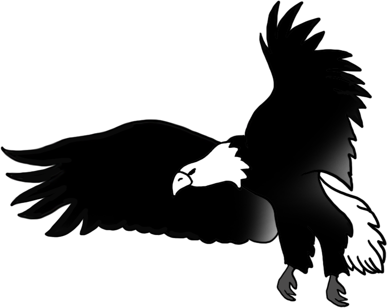 Black White Drawing Flying Bald Eagle - Black And White Drawing Of Eagles (886x709)