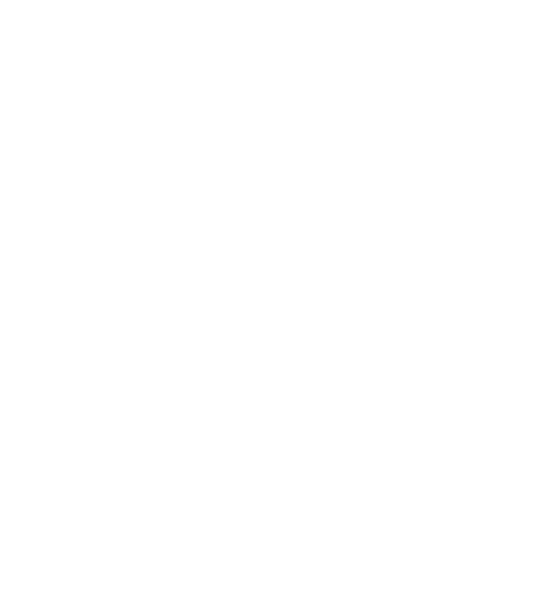 White Eagle Poland (540x596)