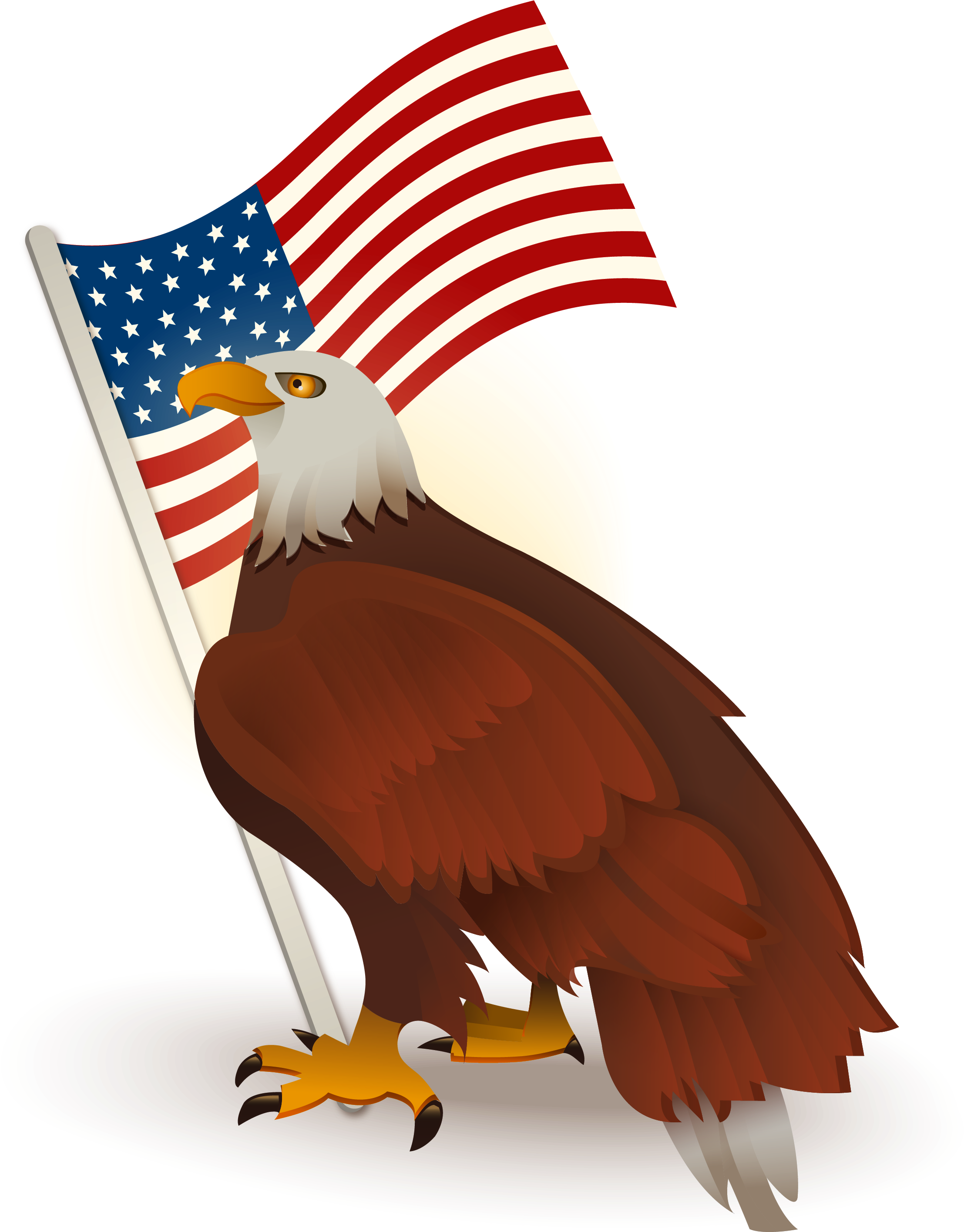 Bald Eagle Flag Of The United States Clip Art - Aguila De Estados Unidos Png (2244x2830)