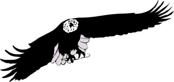 Eagle Black And White Clip Art - Aquila Cartoon (600x284)
