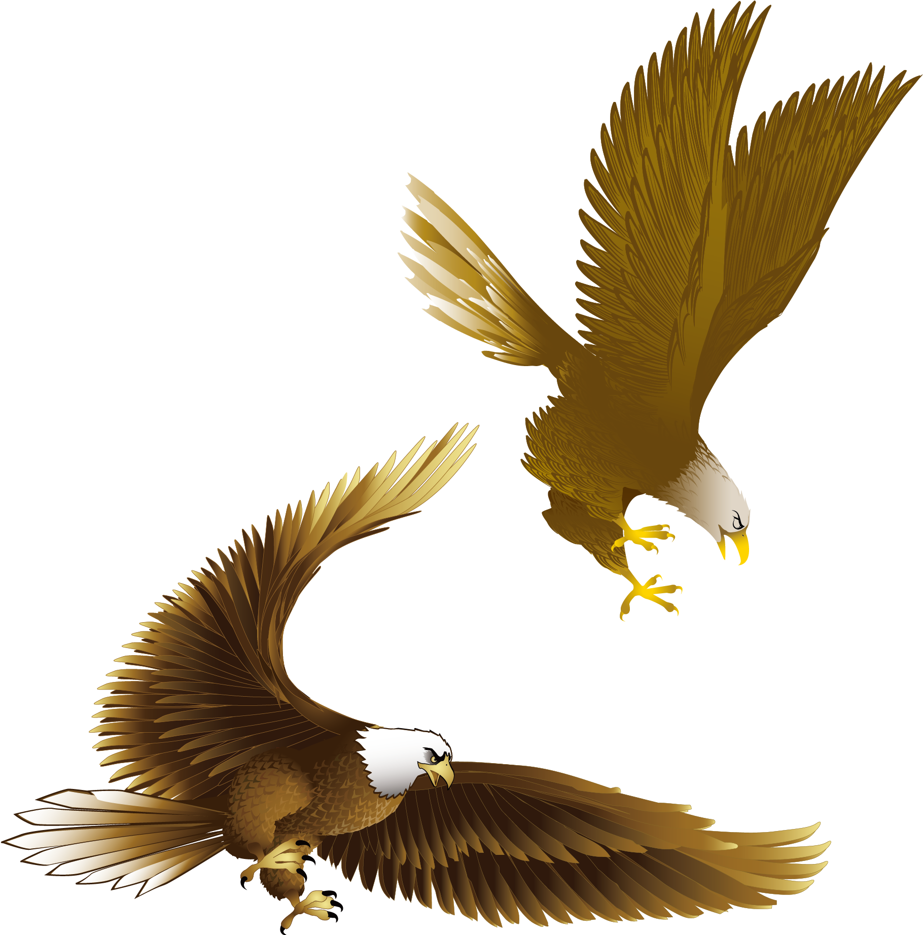 Bald Eagle Drawing Clip Art - Eagle 15" Laptop Sleeve (2000x2000)