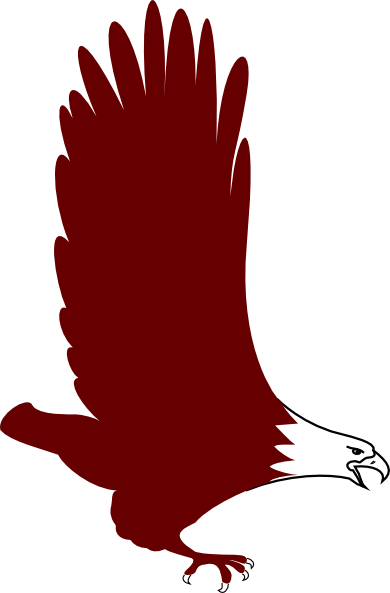 Eagle Icon Soaring Png (390x593)