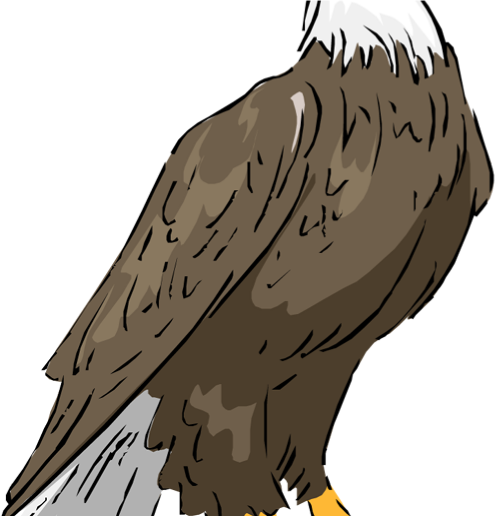 Eagle Clipart Bald Eagle Eagle Clipart Clipartix Science - Орел Вектор (1024x1024)