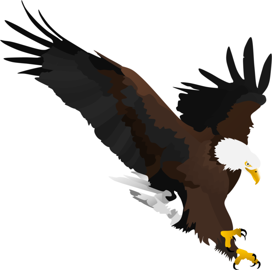 Bald Eagle By Fox-shade - Golden Eagle (896x891)