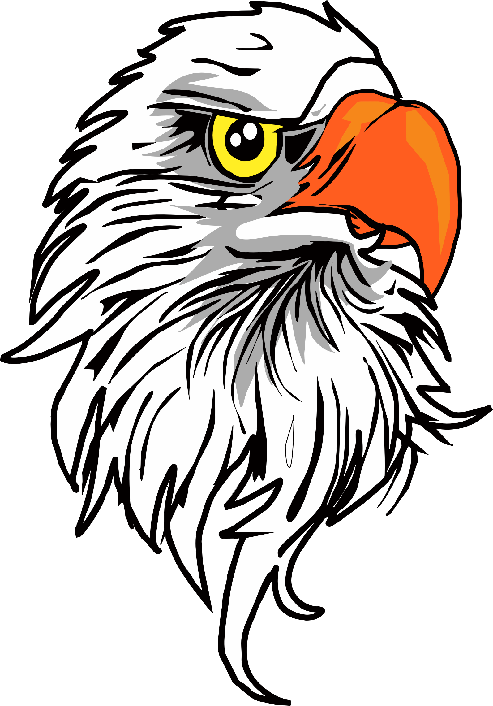 Eagle Head Clipart 3 Eagle Head Bclipart - Eagle Head Png (1594x2281)