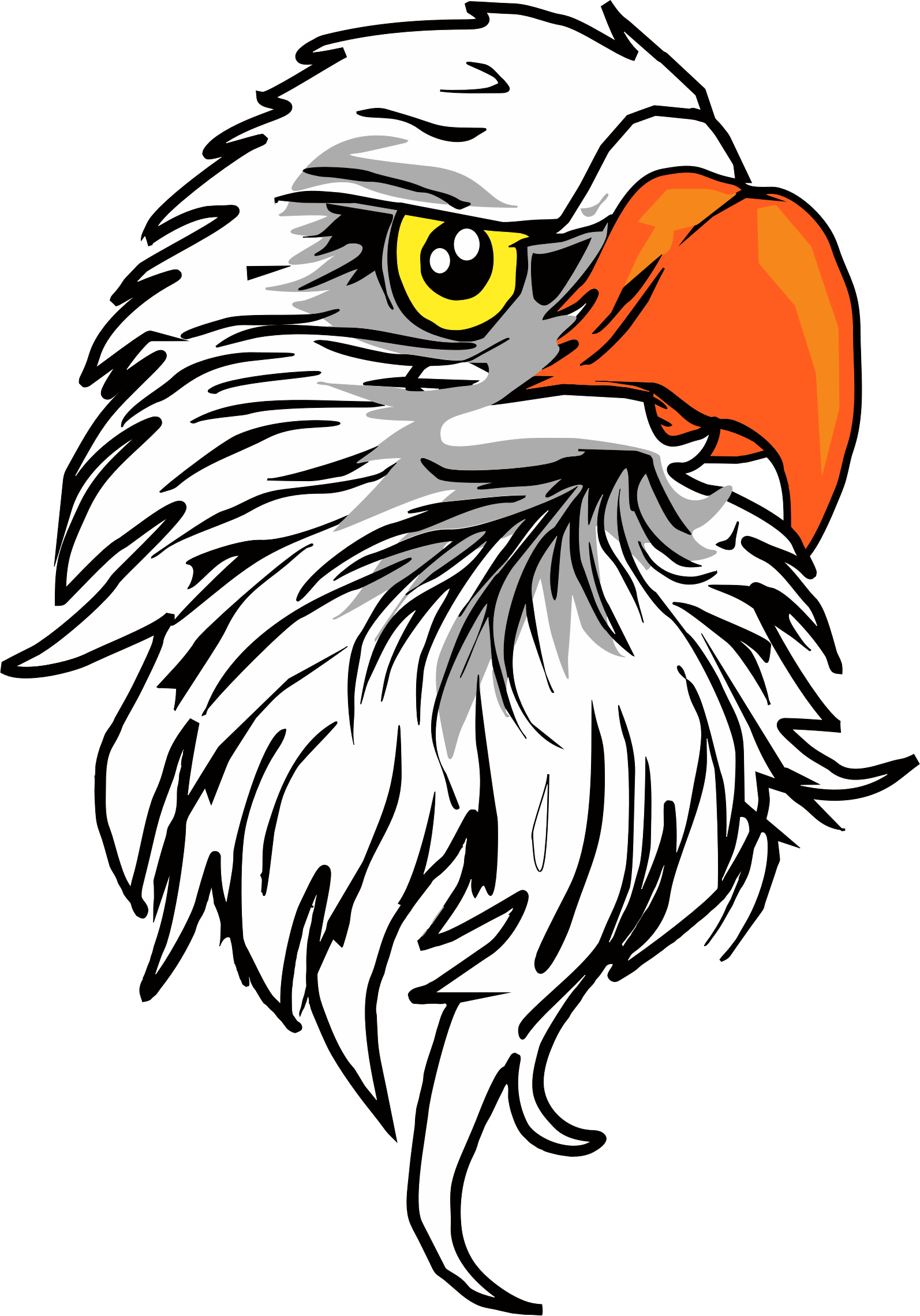 Eagle Head Clipart 3 Eagle Head Bclipart - Eagle Head Png - (1594x2281) Png  Clipart Download, image size:1594x2281
