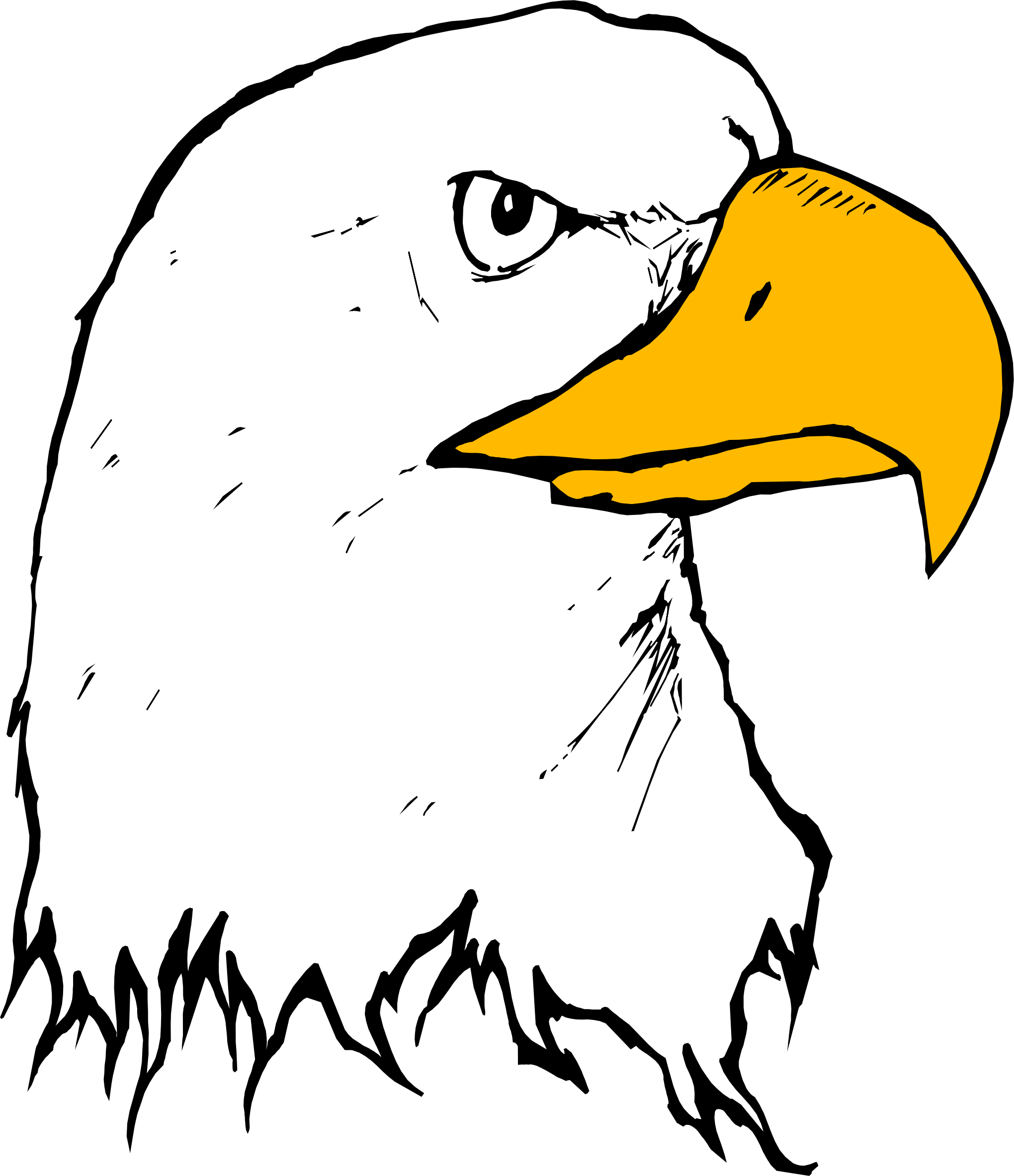 Big Image - Clip Art Of Beak (2040x2366)
