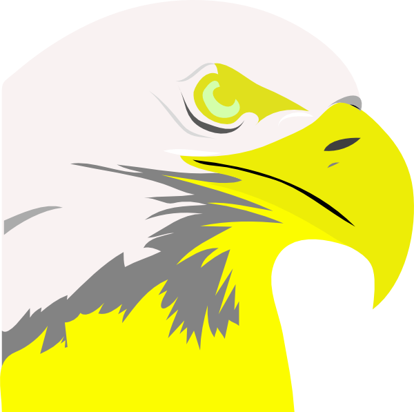 Bald Eagle Clip Art (600x597)