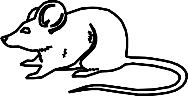 Outline Images Of Mouse (600x308)