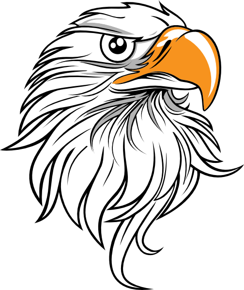 Eagle Head Clipart - Eagle Head Vector Png (504x598)