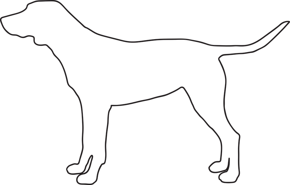School House Outline 10, Buy Clip Art - Braque D'auvergne (960x614)