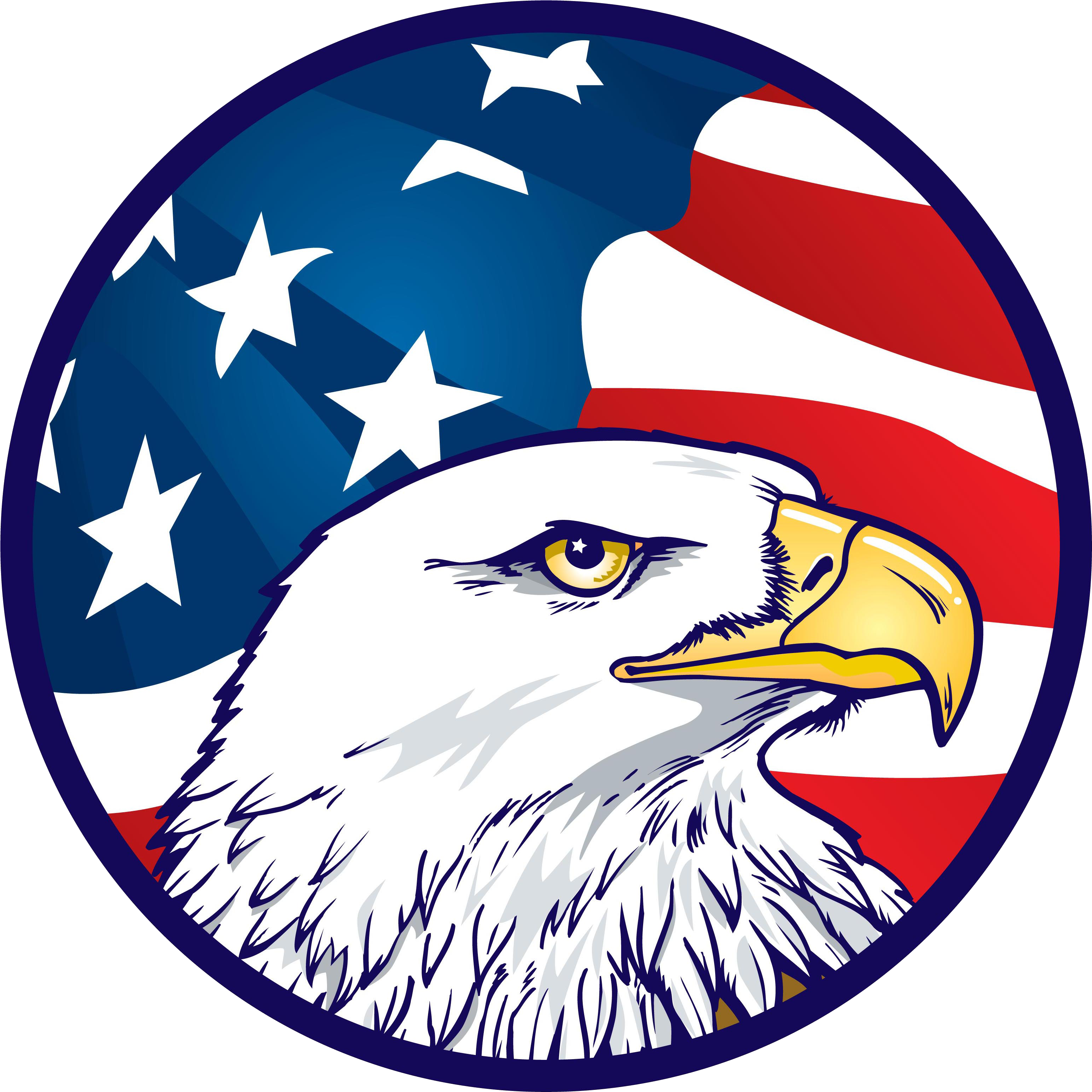 Eagle Flag Button - Eagle And Flag America Drawing (3300x3300)