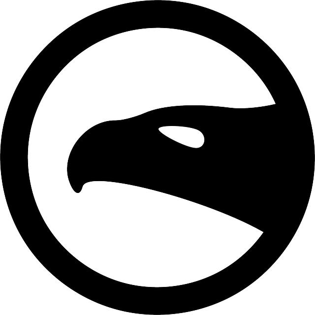 Eye, Silhouette, Cartoon, Eagle, Free, Logo - Metro Symbol (640x640)
