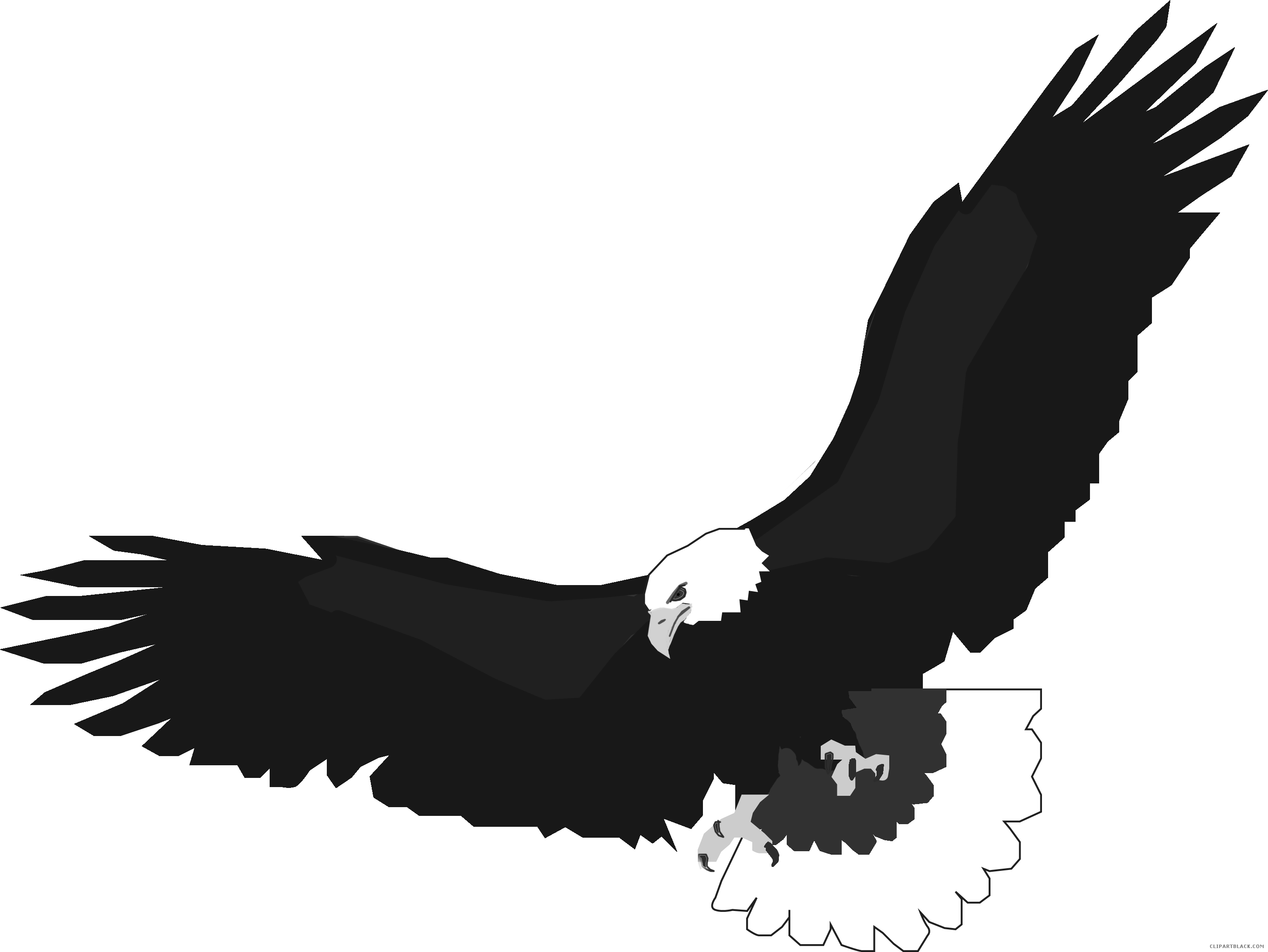 Flying Eagle Animal Free Black White Clipart Images - Flying Eagle Clip Art (2906x2182)