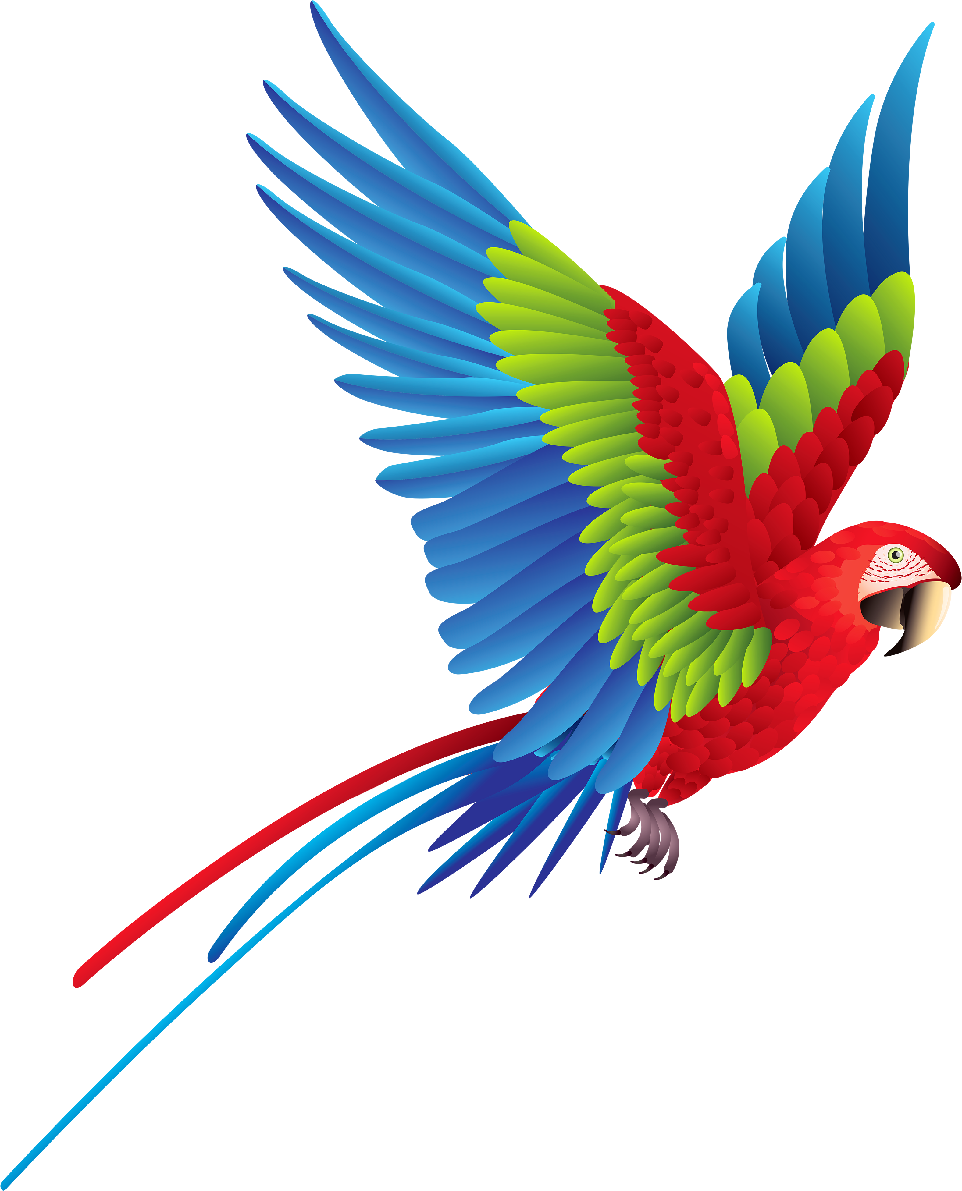 Clipart Of Brazilian, Parrot The And Parrot Of - Tropical Bird Wall Stickers (3214x4000)